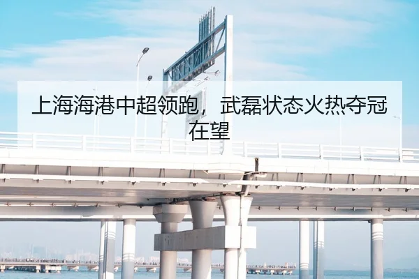 上海海港中超领跑，武磊状态火热夺冠在望