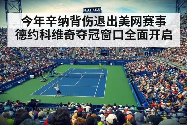 今年辛纳背伤退出美网赛事 德约科维奇夺冠窗口全面开启